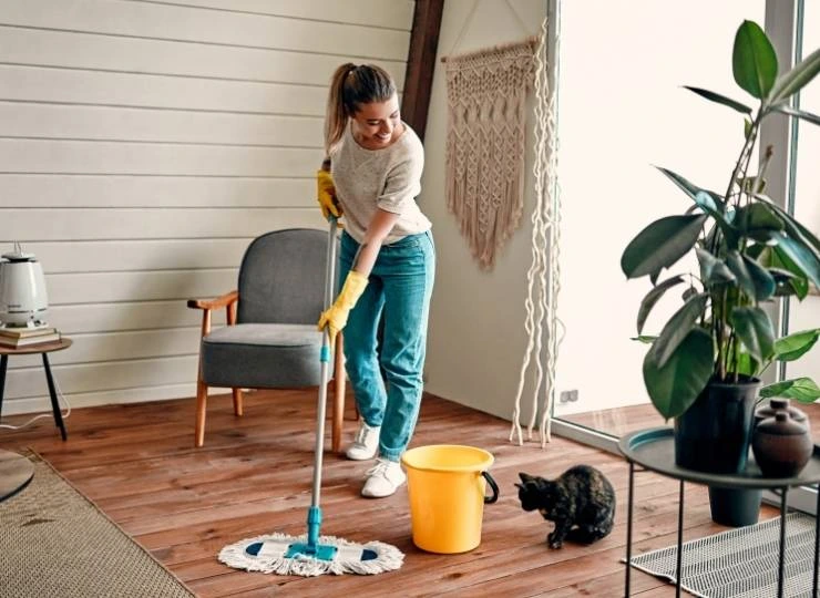 Limpieza de pisos Madrid