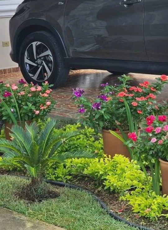 mantenimiento jardineria Madrid